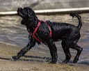 20220806-jwd-0049