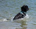 20220806-jwd-0054