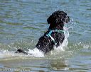 20220806-jwd-0058