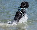 20220806-jwd-0059