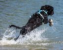 20220806-jwd-0081