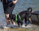 20220806-jwd-0129