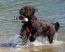 20220806-jwd-0157
