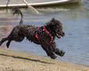 20220806-jwd-0164