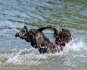 20220806-jwd-0170