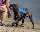 20220806-jwd-0221