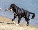 20220806-jwd-0256