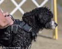 20220806-jwd-0258