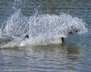 20220806-jwd-0261