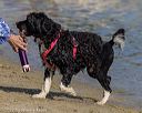 20220806-jwd-0328