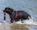 20220806-jwd-0332