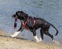 20220806-jwd-0334