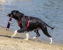 20220806-jwd-0335