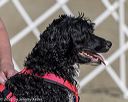 20220806-jwd-0338