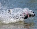 20220806-jwd-0342