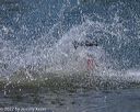 20220806-jwd-0344