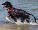 20220806-jwd-0349