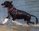 20220806-jwd-0350