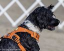 20220806-jwd-0375