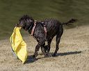 20220806-master-0055
