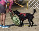 20220806-wwd-0011