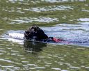 20220806-wwd-0021