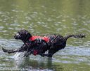 20220806-wwd-0043