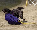 20220806-wwd-0078