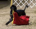20220806-wwd-0126