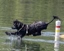 20220806-wwd-0152