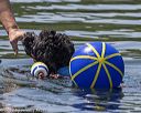 20220806-wwd-0230