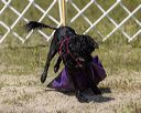 20220806-wwd-0251