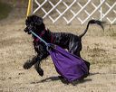 20220806-wwd-0255