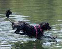 20220806-wwd-0258