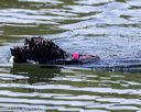 20220806-wwd-0271