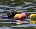 20220806-wwd-0272