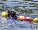 20220806-wwd-0274