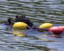 20220806-wwd-0275
