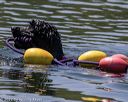 20220806-wwd-0276