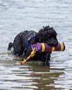 20220807-awd-0191