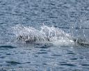 20220807-cwd-0044