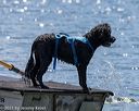 20220807-wwd-0102