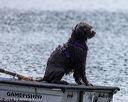 20220807-wwd-0226