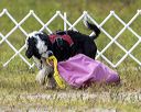20220807-wwd-0286