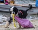 20220807-wwd-0289