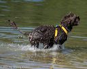 20220807-jwd-0049