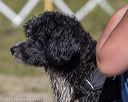 20220807-jwd-0089