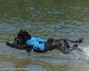 20220807-jwd-0123