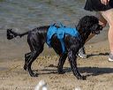 20220807-jwd-0137