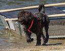 20220807-jwd-0157